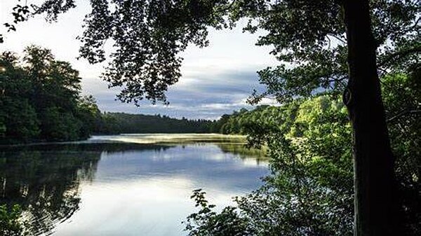 Virginia Water 