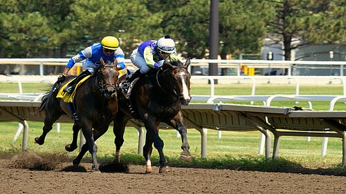 Two horses in a race, each ridden by a jockey.