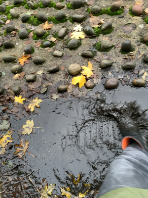 Image courtesy of Eton & Castle Lib Dems Blocked drain pavement eton and castle windsor vansittart road